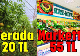 Serada 20TL Markette 55TL