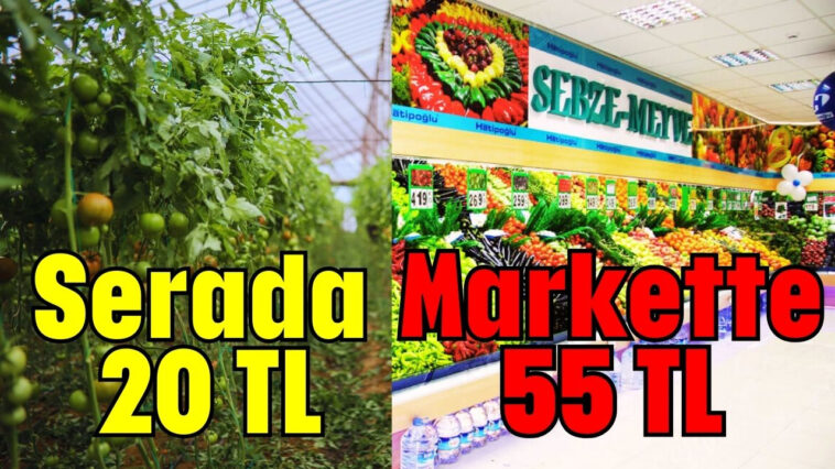 Serada 20TL Markette 55TL