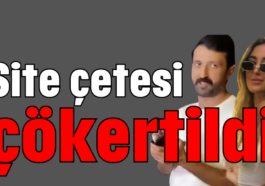 Site çetesi çökertildi