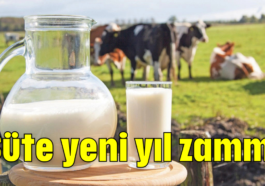 Süte yeni yıl zammı