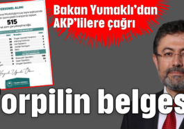 Torpilin belgesi