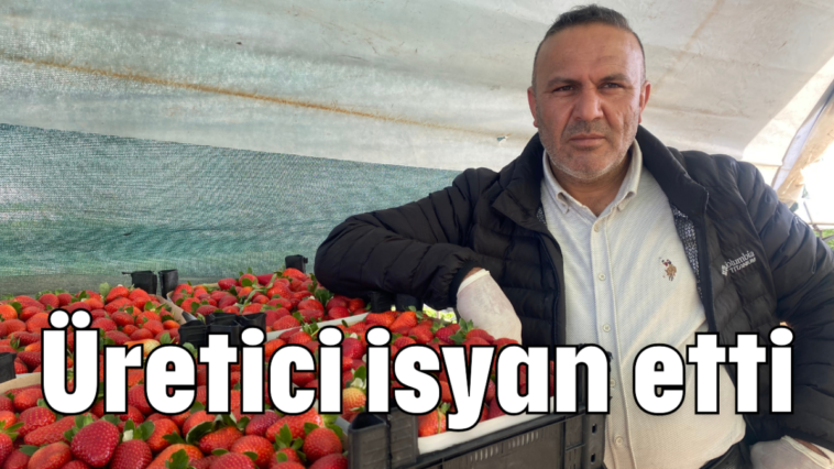 Üretici isyan etti