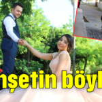 Vahşetin böylesi