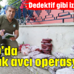 Aksu'da kaçak avcı operasyonu