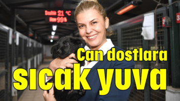 Can dostlara sıcak yuva