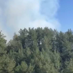 Manavgat'ta çıkan orman yangını büyümeden söndürüldü