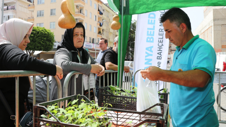 Alanya'da ücretsiz su kabağı fidesi dağıtılacak
