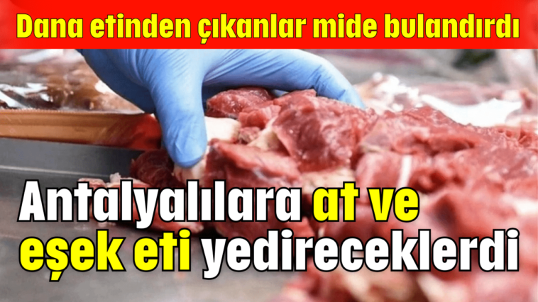 Antalyalılara at ve eşek eti yedireceklerdi