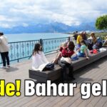 Müjde! Bahar geliyor