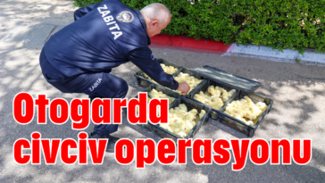 Otogarda civciv operasyonu