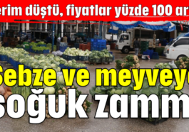 Sebze ve meyveye soğuk zammı