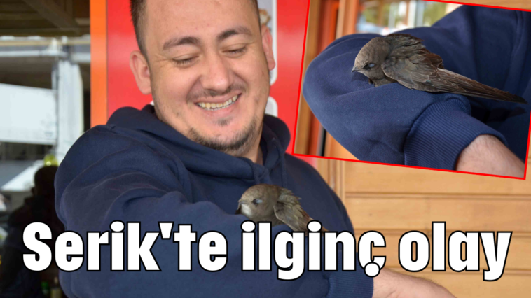 Serik'te ilginç olay