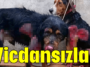 Vicdansızlar